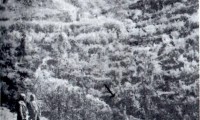Foto Castello prima del crollo del 1940